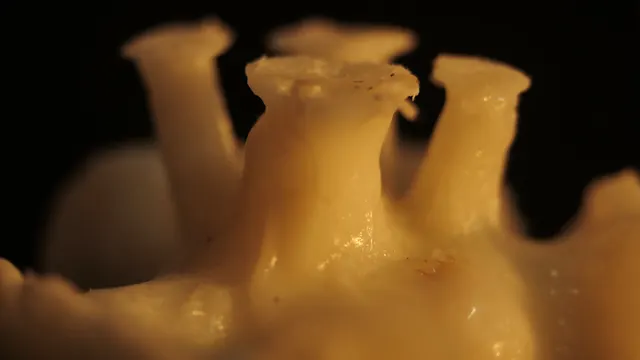 Materials Research